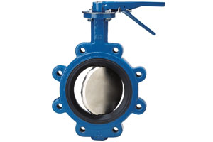 Butterfly Valve