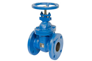 Gate Valve
